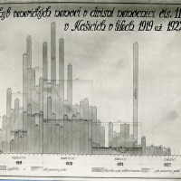 Osvetová výchova. Prehľad venerických chorôb v divíznej nemocnici v Košiciach v rokoch 1919 – 1922