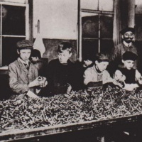 Deti v muničnej továrni pri triedení streliva