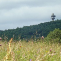 A view to the Observatory Tower at Dukla.