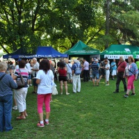 75. výročie SNP - Banská Bystrica - 5