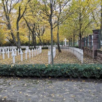 Petržalka - Kopčany, 11. 11. 2019