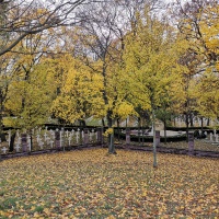 Petržalka - Kopčany, 11. 11. 2019