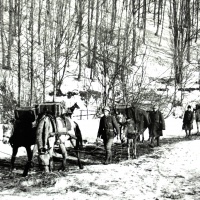 Doprava munície  rumunským jednotkám v slovenských horách