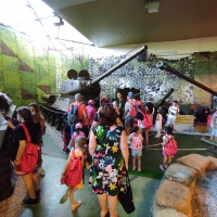 Projekt „Nájdi si svoj domov“ zavítal do VHM Piešťany