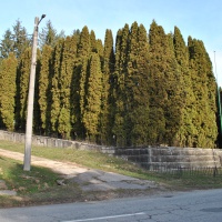 Revitalizácia Tokajík 1 2020