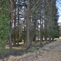 Revitalizácia Tokajík 2 2020