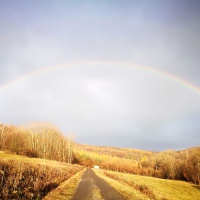 Revitalizácia Tokajík 5 2018