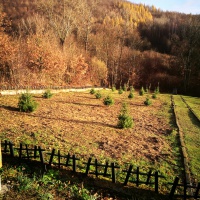 Revitalizácia Tokajík 6 2018