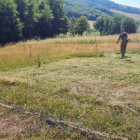 Technická pomoc OS SR - 3