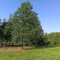 Aktivity VHÚ spojené so 78. výročím Karpatsko-duklianskej operácie