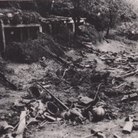 Talinske bojisko – II. pozícia na rieke Piave