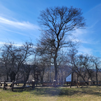 Medzinárodná konferencia v Humennom 