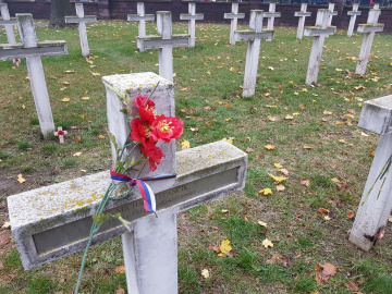 Deň vojnových veteránov (11. november)