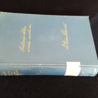 4.  Světová válka a naše revoluce II. (1927, Praha, Čin-Orbis)