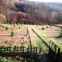 Pamätné miesto s pomníkom Tokajíckej tragédie - november 2018