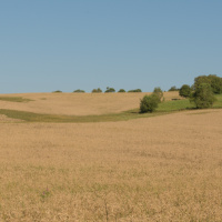 stredné tanky T34-85 v Údolí smrti medzi obcami Kapišová-Kružlová a Nižná Písaná (august 2017)