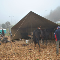Oslavy 81. výročia Karpatsko-duklianskej operácie na Dukle a vo Svidníku (37)