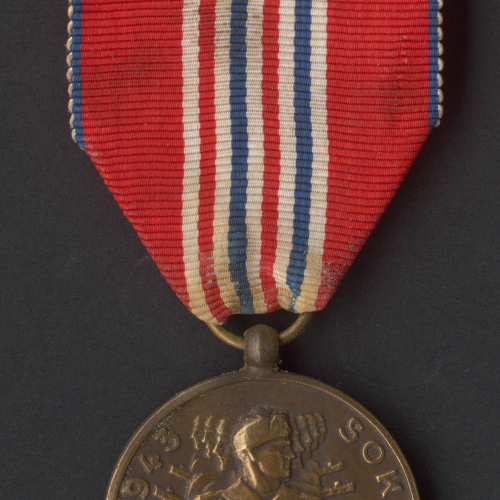 Sokolovská pamätná medaila - averzná strana