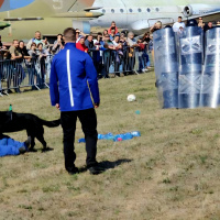 Dynamická ukážka práce kynológov