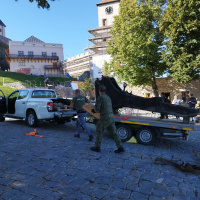 Príslušníci OS SR pri prevoze lafety rakúsko-uhorského kanóna vzor 1880 z Trenčína