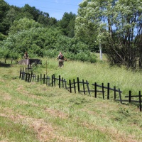 Brigáda Bundeswehru a OS SR 2017 - 7