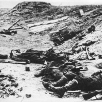 Po bojoch na kóte 534. 