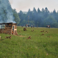 Noc múzeí a galérií vo VHÚ – VHM