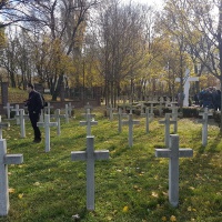 Bratislava - Petržalka Kopčany 11.11.2017